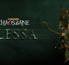 Warhammer: Chaosbane Adds A Playable... Wood Elf?