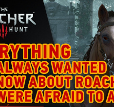 The Witcher III New DLC