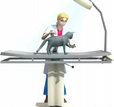 Meine tierischen Patienten & Ich 3D - Sprechstunde in der Tierarztpraxis