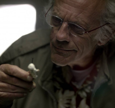 Celebrate Back to the Future Day with LEGO Dimensions