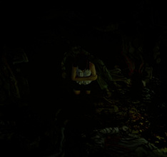 Project Zero - Priesterin des schwarzen Wassers