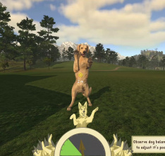 Animal Trainer Simulator