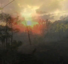 The Hunter 2013 - Deutsche Wälder