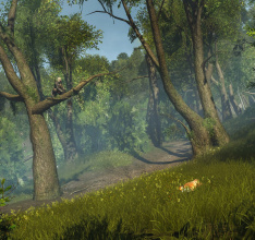 ASSASSINS CREED® ROGUE