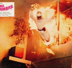 Der tödliche Schwarm