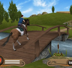 Mein Gest&uuml;t - Ein Leben f&uuml;r die Pferde