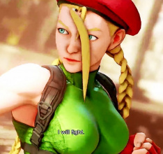 Capcom Confirms Addition of Cammie and Birdie to Street Fighter V