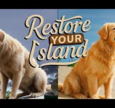 Restore Your Island - Demo Gameplay