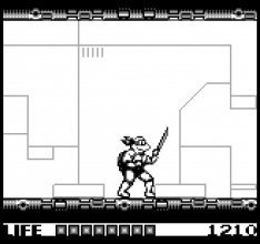 Teenage Mutant Ninja Turtles: The Cowabunga Collection