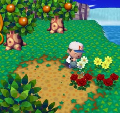 Animal Crossing: Lets Go to the City