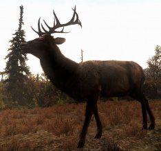 Cabelas Big Game Hunter: Pro Hunts ab sofort erhältlich