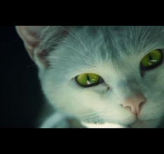 Tom Clancys Ghost Recon Wildlands – Can You Spot the Red Dot Live Action Trailer