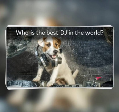 Mit Trivia Crack X noch leichter Wissensfragen in Social Media teilen