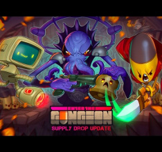 Enter the Gungeon