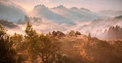 Horizon Forbidden West