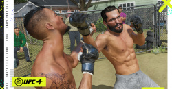 UFC 4