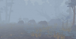 Shelter 3