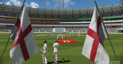 Cricket 22