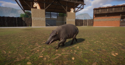 Planet Zoo: Southeast Asia Animal Pack