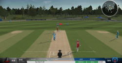 Cricket 22