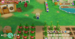 STORY OF SEASONS: Friends of Mineral Town