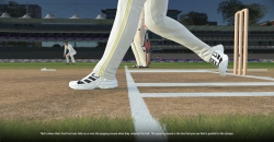 Cricket 22