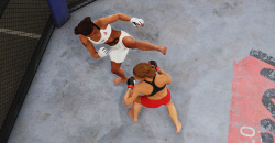 UFC 4