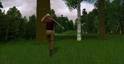 ProStroke Golf: World Tour 2007