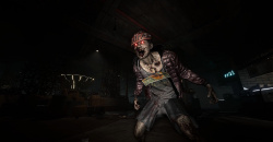 The Midnight Walkers