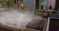 Die Sims 4: Wellness-Tag