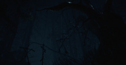 Blair Witch