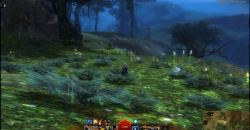 Guild Wars 2