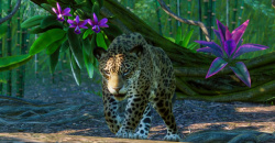 Planet Zoo – Die Erweiterungen