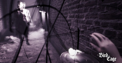 Of Bird and Cage