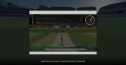 Cricket 22