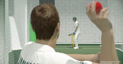 Cricket 22