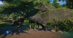 Planet Zoo: Wetlands Animal Pack