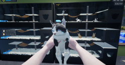 Exotica 2: Pet Shop Simulator