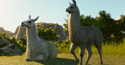 Planet Zoo – Die Erweiterungen