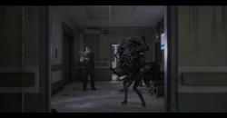 Post Trauma