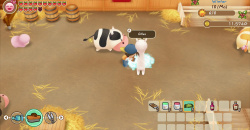 STORY OF SEASONS: Friends of Mineral Town