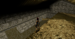 Tomb Raider Remastered I