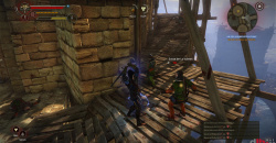The Witcher 2: Assassins of Kings
