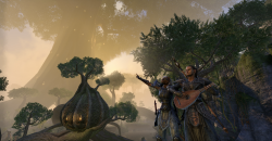 The Elder Scrolls Online: Tamriel Unlimited