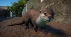 Planet Zoo: Wetlands Animal Pack