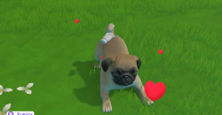Little Friends: Puppy Island