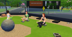 Die Sims 4: Wellness-Tag