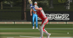 Cricket 22