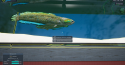 Exotica 2: Pet Shop Simulator