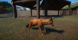 Planet Zoo: Southeast Asia Animal Pack